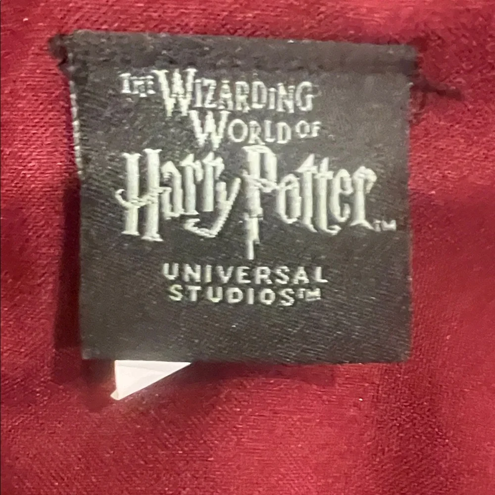 Black Wizard Robe with Red Accents - Picture 6 of 7